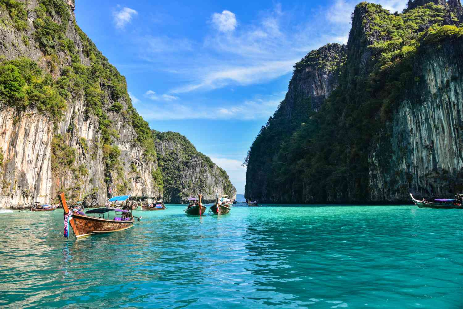 Thailand Digital Arrival Card